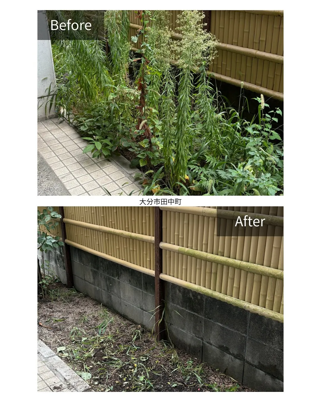 ✨引き渡し前の大清掃✨