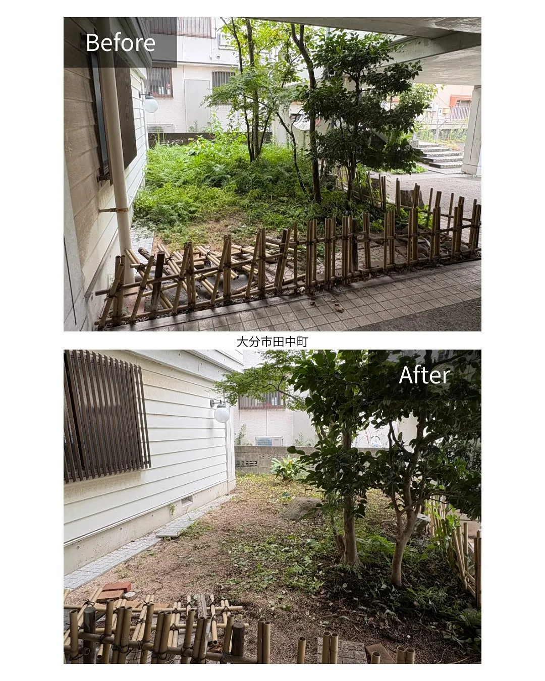 ✨引き渡し前の大清掃✨