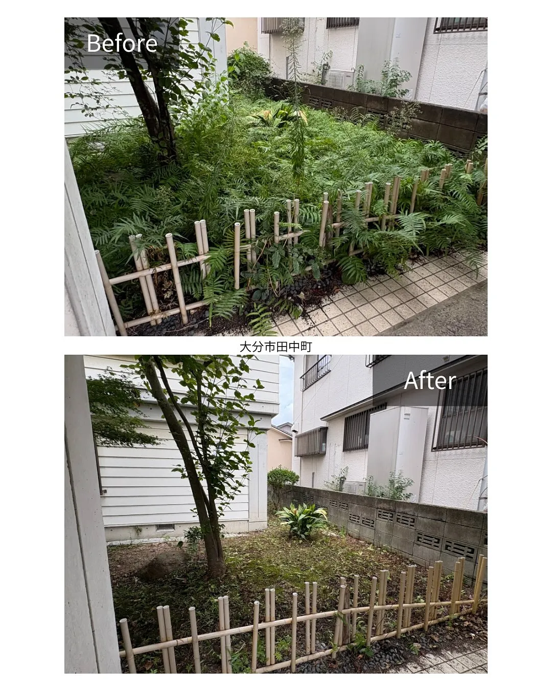 ✨引き渡し前の大清掃✨